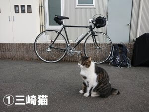 営業ブログ写真　1009①